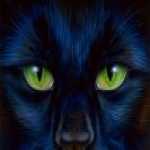 thumb_033 (Medium).jpg